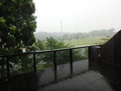 The Green Collection (D4), Terrace #174612522